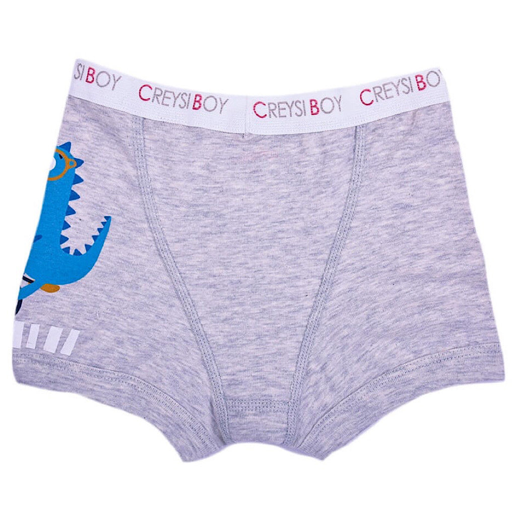 Boxer Baby Creysi gris dinosaurio para niño - JORHELITOS - JORHELITOS