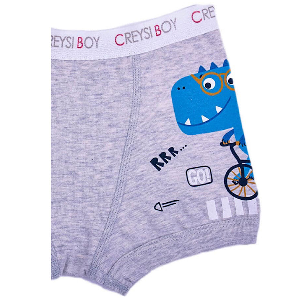 Boxer Baby Creysi gris dinosaurio para niño - JORHELITOS - JORHELITOS